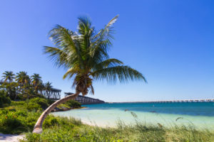 picture of Bahia Honda looking out towards the water with the bridge in the background
