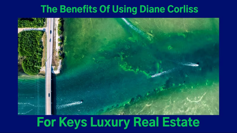 The Benefits Of Using Diane Corliss