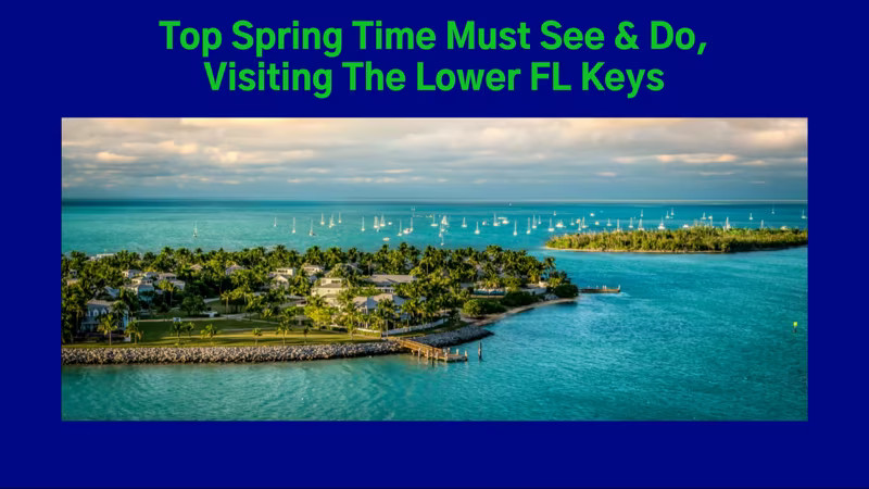 Top Spring Time Must See & Do