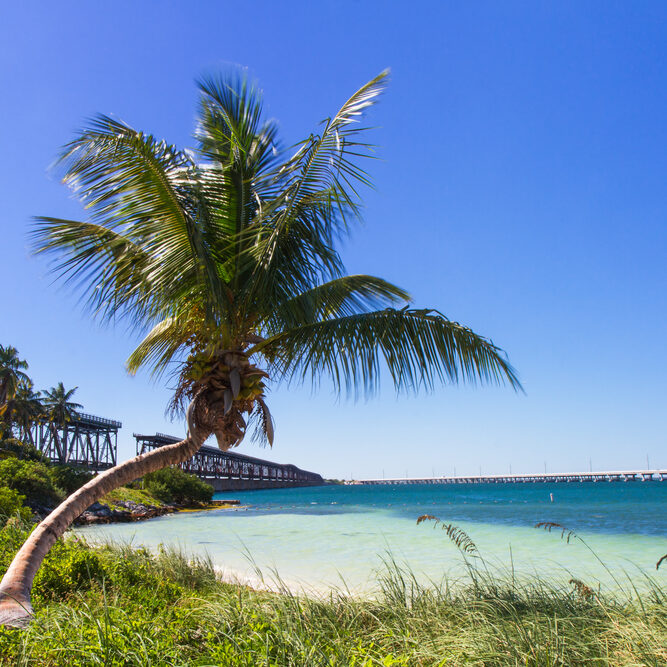 picture of Bahia Honda looking out towards the water with the bridge in the background